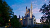 Cinderella Castle at Magic Kingdom park surrounded by trees with lights illuminating the towers