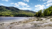 Una cadena montañosa cubierta de árboles con vista a un río y a una costa sembrada de árboles