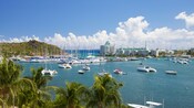 Palmeras y botes a lo largo del frente costero en St. Maarten
