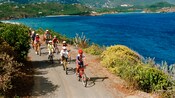 A group of people biking along a paved path lined with plants overlooking a ocean bay