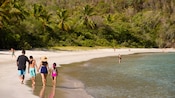 Una familia camina por una playa cerca de árboles y otros transeúntes
