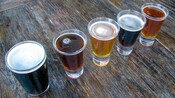 Glasses of different beers