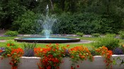 Uma fonte de água circular cercada por flores e folhagens