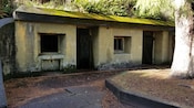 An old building near a tree and ferns