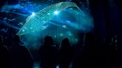A prehistoric fish is projected onto a water screen at the Glacier Gardens Boreal Adventure