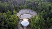 Una vista aérea de una tienda de campaña cerca de una pasarela de madera y un bosque