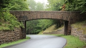 A stone bridge stretching over a forest road