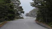 A road leading through a forest toward a rocky coastline