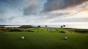 A golf course with sand traps and palm trees sits next to the shoreline of a beach
