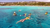 A group of people snorkel near an island covered in trees and houses