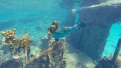 Um peixe perto de ruínas submersas