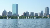 A view of downtown Boston from the water