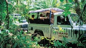 Pasajeros a bordo de un vehículo de Island Safari pasean por un camino de jungla
