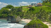 Giant, moss covered boulders line the edge of the water on a sandy beach