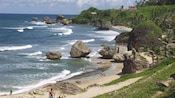 Just off the sand of a beach, large rocks and mossy boulders lead the way towards grass and trees