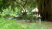 A picnic table sits in a clearing at the end of a path through plants and trees