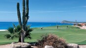 Golfers putt on the green of a coastal golf course