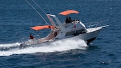 A 6 person cabin cruiser races through the water of Cabo San Lucas