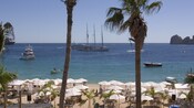 Boats large and small motor across the waters in front of a beach dotted by umbrella canopys and small trees