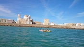 Five kayaks group together in the water just offshore