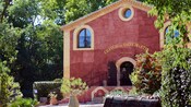 Uma fachada de edifício cercada por exuberantes árvores e arbustos com as palavras Château de Saint Martin Cru Classé pintadas acima da porta