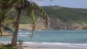 A palm tree in front of a beach, the ocean and a grassy hill