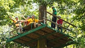 Los practicantes de tirolesa se detienen en una plataforma en las copas de los árboles sonriendo