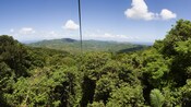 The view from an aerial tram high above a canopy of trees