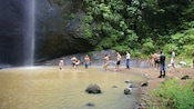 People swim in a natural pool under a waterfall