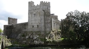 The tower of Tipperary Castle on the shore of a waterway