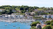 A marina full of boats near a town near a hill full of trees