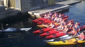 Kayakers gather with their boats in the water to listen to a guide
