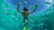 A woman swimming on the surface of the water feeds a school tropical fish