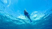 A woman snorkeling on the surface of the ocean