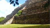 Stairs leading up a Mayan temple are roped off