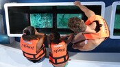 Uma família observa uma tartaruga marinha e uma variedade de peixes pelo visor de um barco com fundo de vidro