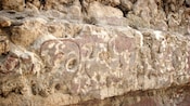 Mayan stone etchings