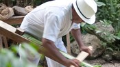 A man in white clothing refines the long leaf of a plant against a slanted board, using another board