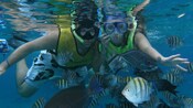 Dois mergulhadores posam embaixo d'água com um cardume de peixes listrados