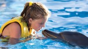 A small girls kisses a dolphin on the nose while standing in shallow water
