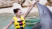 A dolphin emerges out of the water to touch the hand of a girl