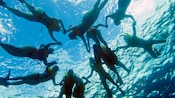 A group of snorkelers hold hands underwater