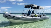 Inflatable boat with a rigid hull and shade canopies sits in shallow ocean water