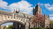 Christ Church Cathedral in the springtime