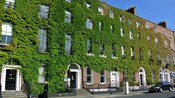 An ivy covered brick building