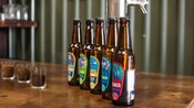 5 bottles of beer next to 3 glasses of seeds and a beer tap