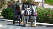 Two horses pulling a buggy filled with several passengers through a street lined with flowering plants