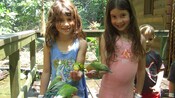 Two small girls smile as lovebirds eat seed out of the palms of their hands