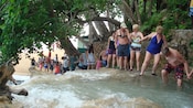 A tour group holds hands as they walk single file through puddles and cascading waters up a forested hill