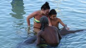 Un hombre, una mujer y un niño sentados en aguas poco profundas hasta la cintura admirando al delfín que tienen al lado